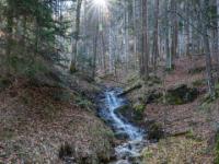 Bachlauf im Gegenlicht